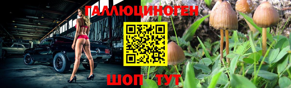 Псилоцибиновые грибы Magic Shrooms  Вход с VPN  Нурлат  Псилоцибиновые грибы мицелий 